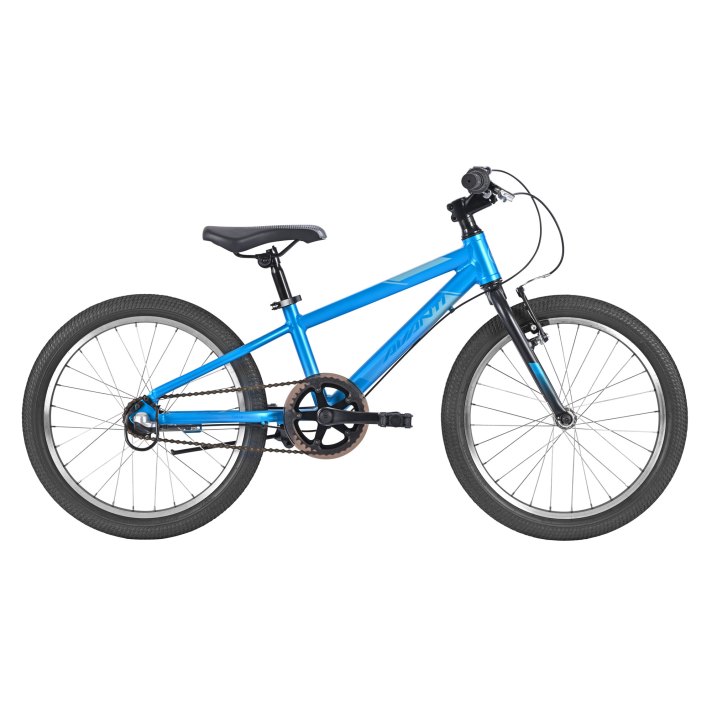 Avanti Spice 20-I Metallic Teal